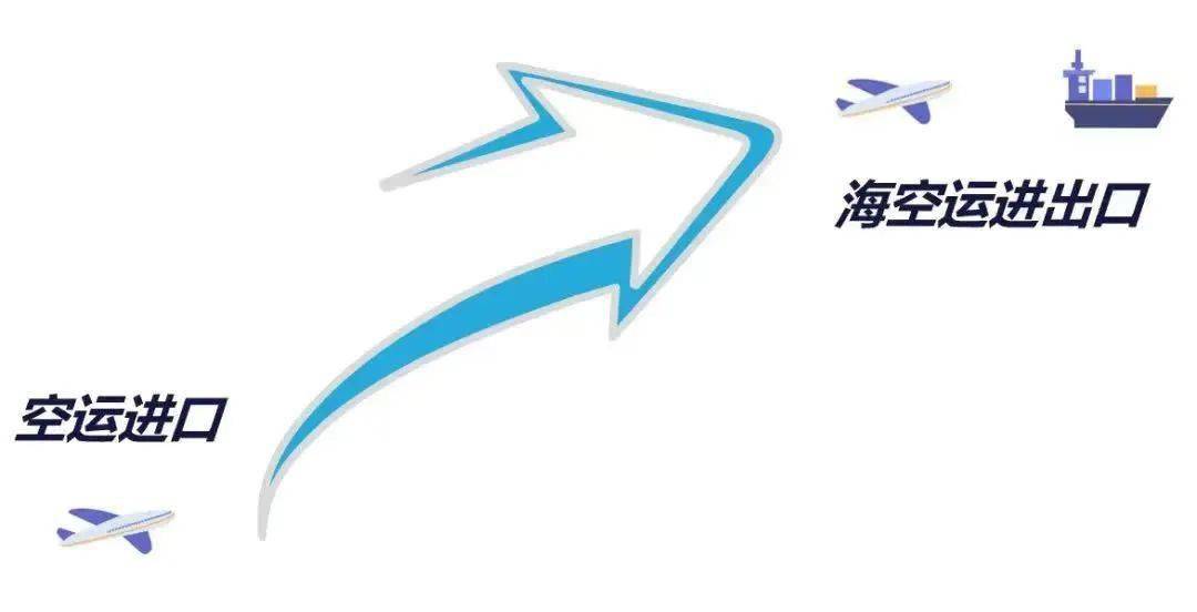 办事指南真空包装等高新技术货物布控查验模式应用操作指南(图3)