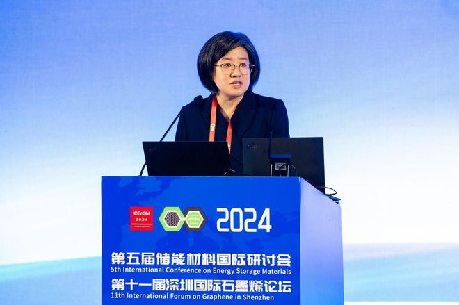 2024储能材料国际研讨会暨深圳国际石墨烯论坛在深圳圆满闭幕(图3)