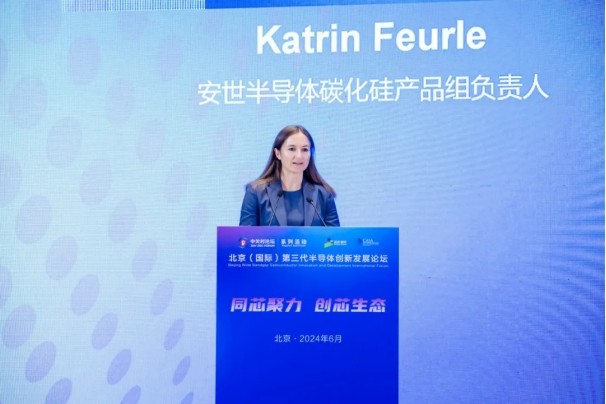 2024北京(国际)第三代半导体创新发展论坛召开以科技创新助推顺义高质量发展(图6)