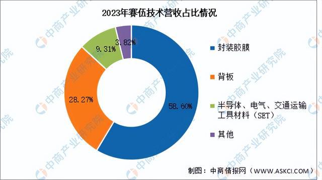 2024年中国光伏胶膜行业市场前景预测研究报告（简版）(图12)