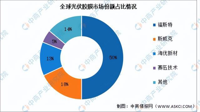 2024年中国光伏胶膜行业市场前景预测研究报告（简版）(图6)