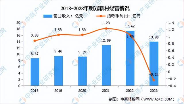 2024年中国光伏胶膜行业市场前景预测研究报告（简版）(图13)