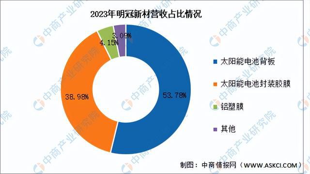 2024年中国光伏胶膜行业市场前景预测研究报告（简版）(图14)