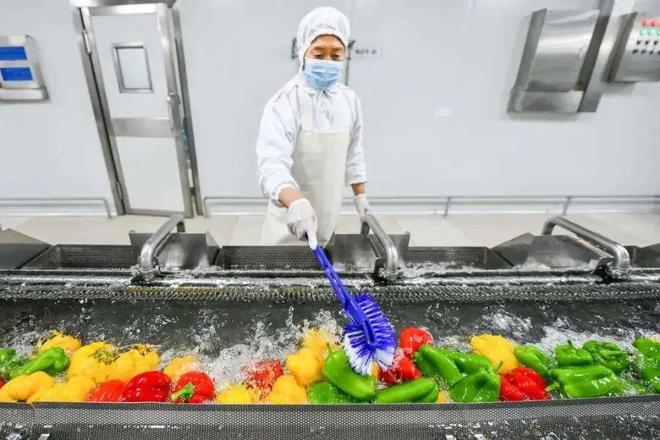 一洗一切身价翻倍？净菜包成年轻人新宠(图5)