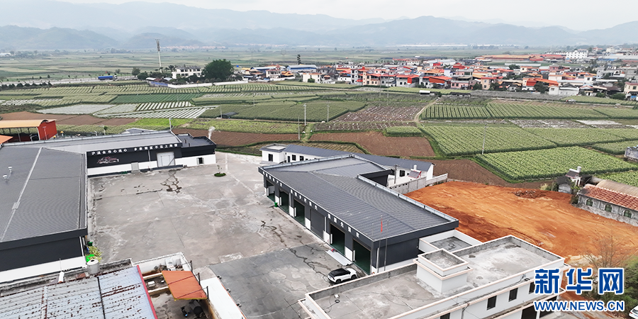 德宏州东西部协作谱新篇丨从田间到车间资源变现激活发展新动能(图1)