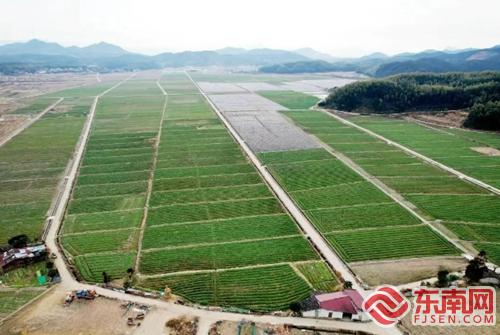 浦城：聚焦“一优两特三宝”打造特色农业产业矩阵(图1)