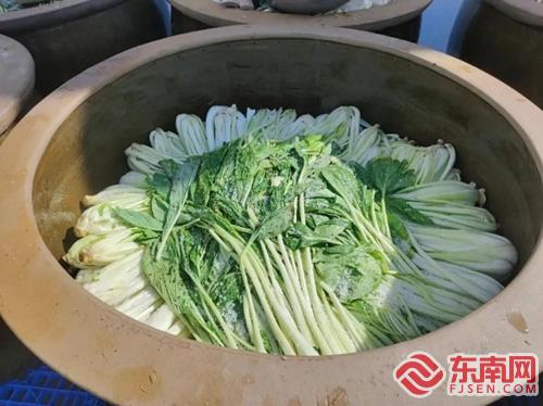 浦城：聚焦“一优两特三宝”打造特色农业产业矩阵(图2)