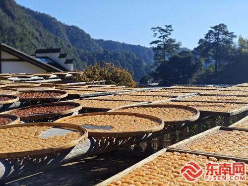 浦城：聚焦“一优两特三宝”打造特色农业产业矩阵(图3)