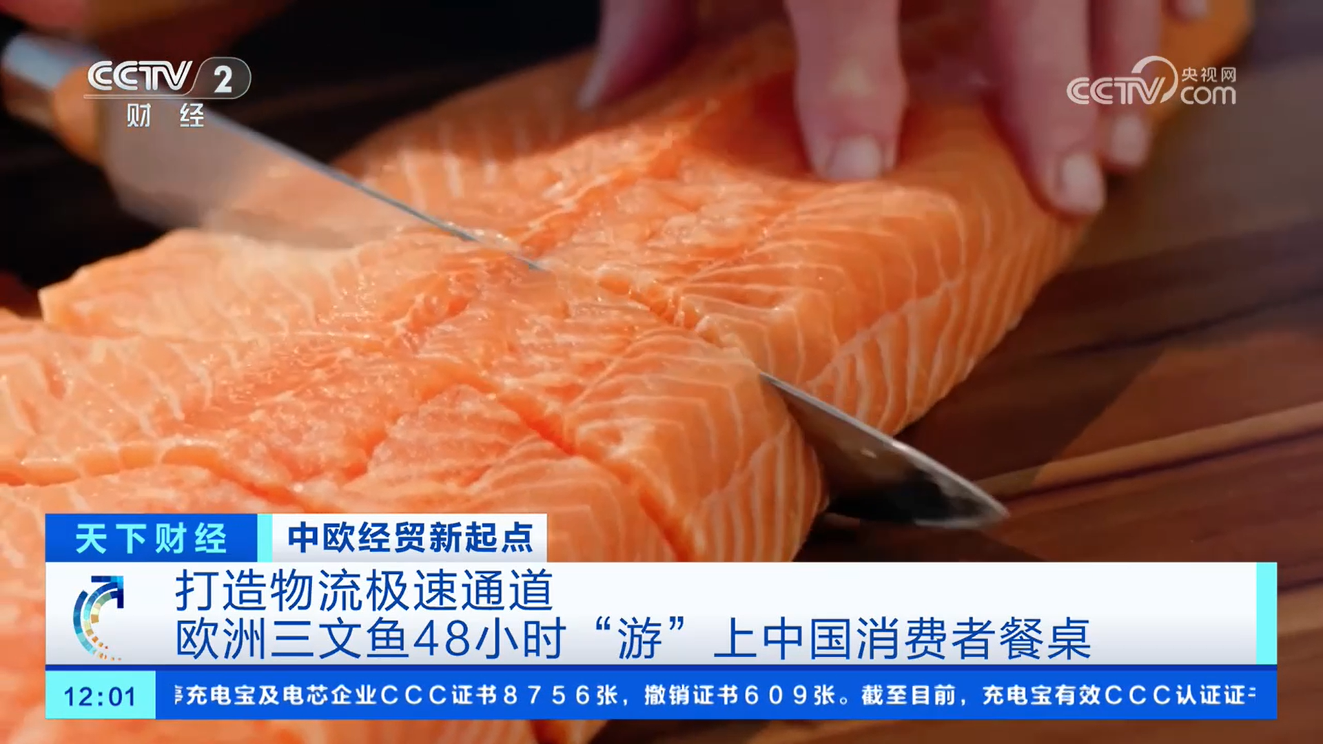 打造物流极速通道欧洲三文鱼48小时“游”上中国消费者餐桌(图1)