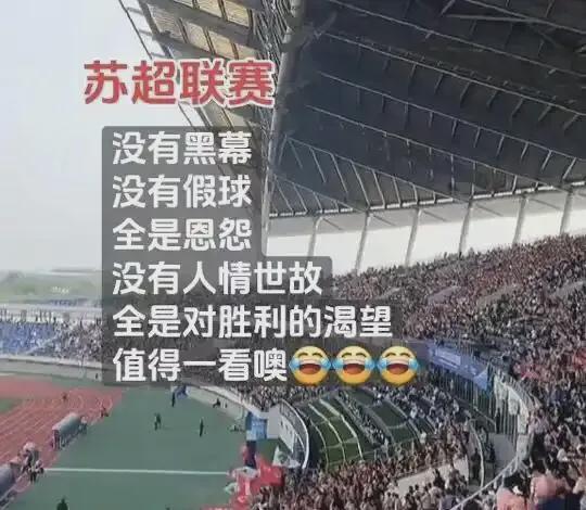 江苏“苏超”爆火记：当足球撞上“地域梗”万人球场秒变欢乐海(图6)