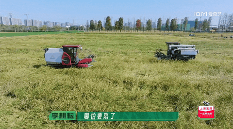 14亿人次观看直播《种地吧》三年让乡村振兴成为现实(图1)